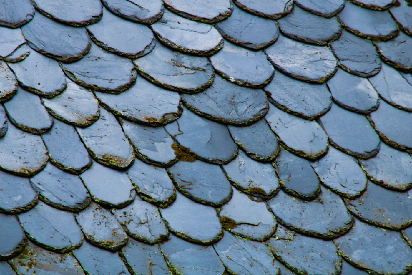 Fishscale slate detail